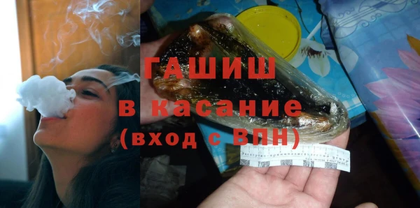 прущие грибы Новозыбков