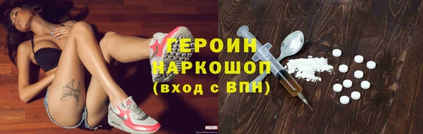 прущие грибы Новозыбков