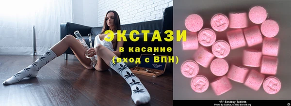 прущие грибы Новозыбков