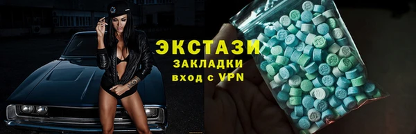 прущие грибы Новозыбков