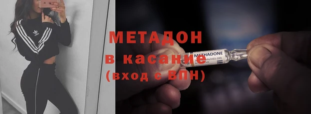 прущие грибы Новозыбков