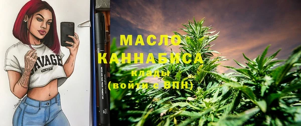прущие грибы Новозыбков